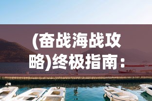 (奋战海战攻略)终极指南：奋战海战如何免费买船并打造无敌舰队