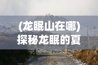 探讨罗布乐思(国际服)在全球范围内的儿童网络安全保护策略与效果