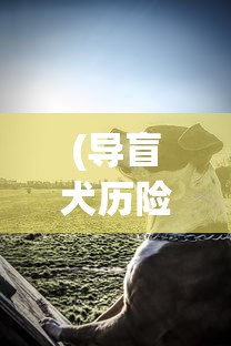 (战机赚钱app)探究战机赚钱软件红包版：挖掘其成功运作机制与盈利策略