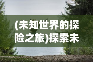 深度解析星元大陆控制台版本：融合现代科技与奇幻魔法的创新游戏体验