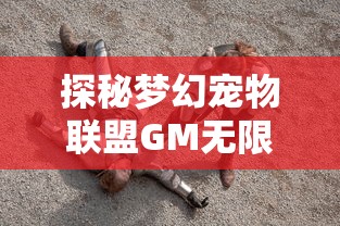 探秘梦幻宠物联盟GM无限充抽：一窥游戏内部运营与玩家福利活跃度的紧密关联