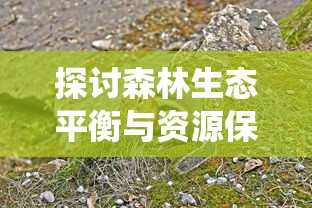 探讨森林生态平衡与资源保护：以贪吃的小松鼠为例，阐述动物行为及其在生态系统中的影响