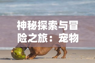 神秘探索与冒险之旅：宠物王国外传霍兰德大陆中的稀有宠物猎捕与培养分析