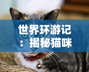 深入剖析无双战机内置修改器：以强大功能大幅提升战斗力为基本要点