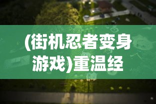 (百炼真气)百炼真仙，探秘修炼世界的奇幻之旅