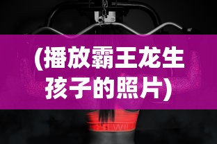 探索与比较死气之炎多元属性形态：在火力、稳定性和使用效果等要点上的系统化分析