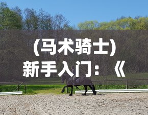 新信长之野望国际版：全面升级的细致策略玩法引爆全球玩家热情