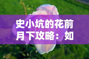 史小坑的花前月下攻略：如何巧妙策划浪漫约会，解析恋爱心理学的成功秘诀