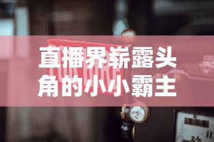 直播界崭露头角的小小霸主改名为何？是真实姓名还是别出心裁的新昵称？揭秘背后原因和影响