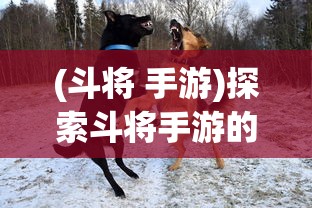 真三国快打当乐平台推出：探讨其在提升用户游戏体验及构建社区氛围上的巨大影响力