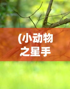 探索Rotaeno Wiki：一窥这个用户生成内容平台如何改变我们获取信息和知识的方式