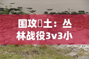 一键获取QQ飞车手游辅助，轻松领先比赛，详解免费获取方法与操作技巧