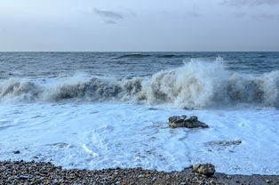 追逐无垠大海：水手的荣耀之光及其在海洋保护中的至关重要性揭秘