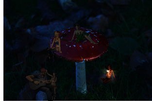 (探索幻想)探索家的新定义：萌幻之幻新的起点Home的创新设计与人性化体验
