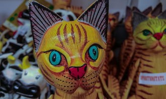 (誓约苍白代行者是谁)誓约苍白代行者补充内容的深度解析