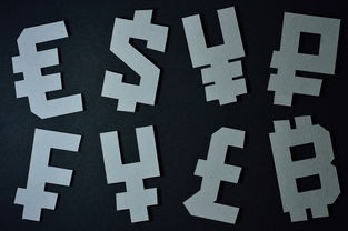 (筑梦公馆0-2-1)筑梦公馆选男选女的区别及其影响分析