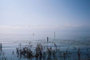 (天境澜庭开盘)探秘神秘天境澜庭：美景如画，静谧如诗，让心灵得到疗愈。