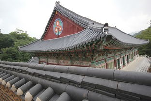 (空之要塞启航兑换码)空之要塞，启航作为一部深受玩家喜爱的游戏，以其独特的世界观、丰富的剧情和精美的画面赢得了众多玩家的青睐。本文将从游戏背景、角色设定、游戏玩法等多个角度进行分析，并提出一些问题，同时附上常见问答和参考文献，以供玩家和研究者参考。