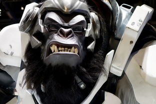 (果宝无双内购免费版下载安装)果宝无双内购免费版深度解析，多元视角下的游戏内购策略