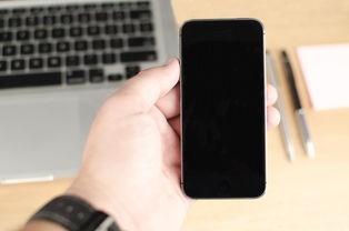 (失落城堡2隐藏关卡怎么进)失落城堡2，深入解析与玩家指南