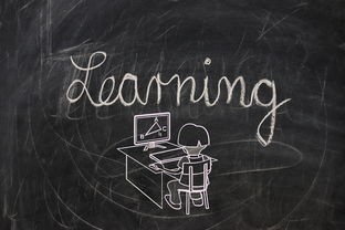 探索未来航天科技：太阳风计划中的神秘果冻体背后的科学与应用解析