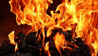 (诛仙2端游什么时候上线)诛仙2端游