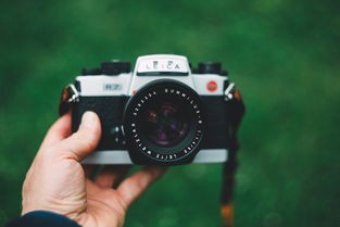 (代号经纪人手游)代号经纪人游戏