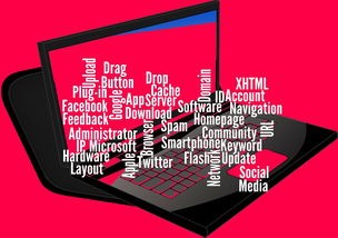 (电脑听书软件哪个好)电脑听书软件排行榜第一名有哪些