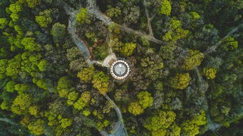 (平坦镇属于哪个市)平坦村,探寻乡村振兴的足迹