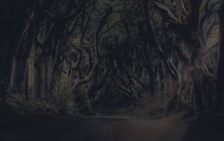 (天天地下城葫芦兄弟攻略视频)天天地下城葫芦兄弟，一个充满奇幻与冒险的虚拟世界