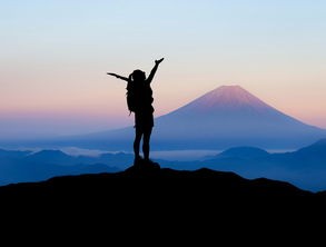 (荒野间谍免费观看完整版)荒野间谍，揭秘荒野生存的智慧与挑战