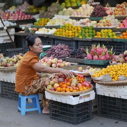 (全民削水果怎么玩)全员削水果公众号，水果削皮背后的故事与启示