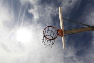 (篮球经理2024)篮球经理NBA，一场篮球梦想的盛宴
