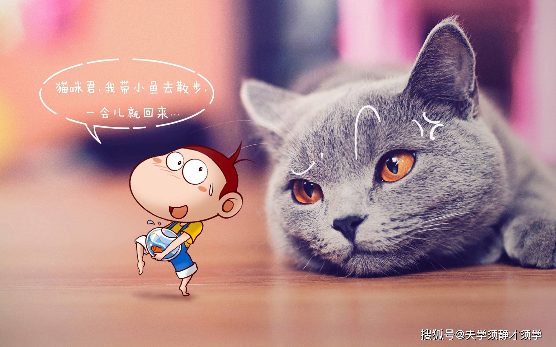 猫与朋友正版免费(暂未上线)-猫与朋友全解锁最新版2024下载v.8.93